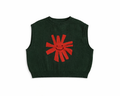 Pull Lio